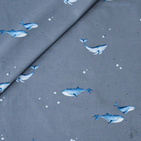 Jersey Wale blau