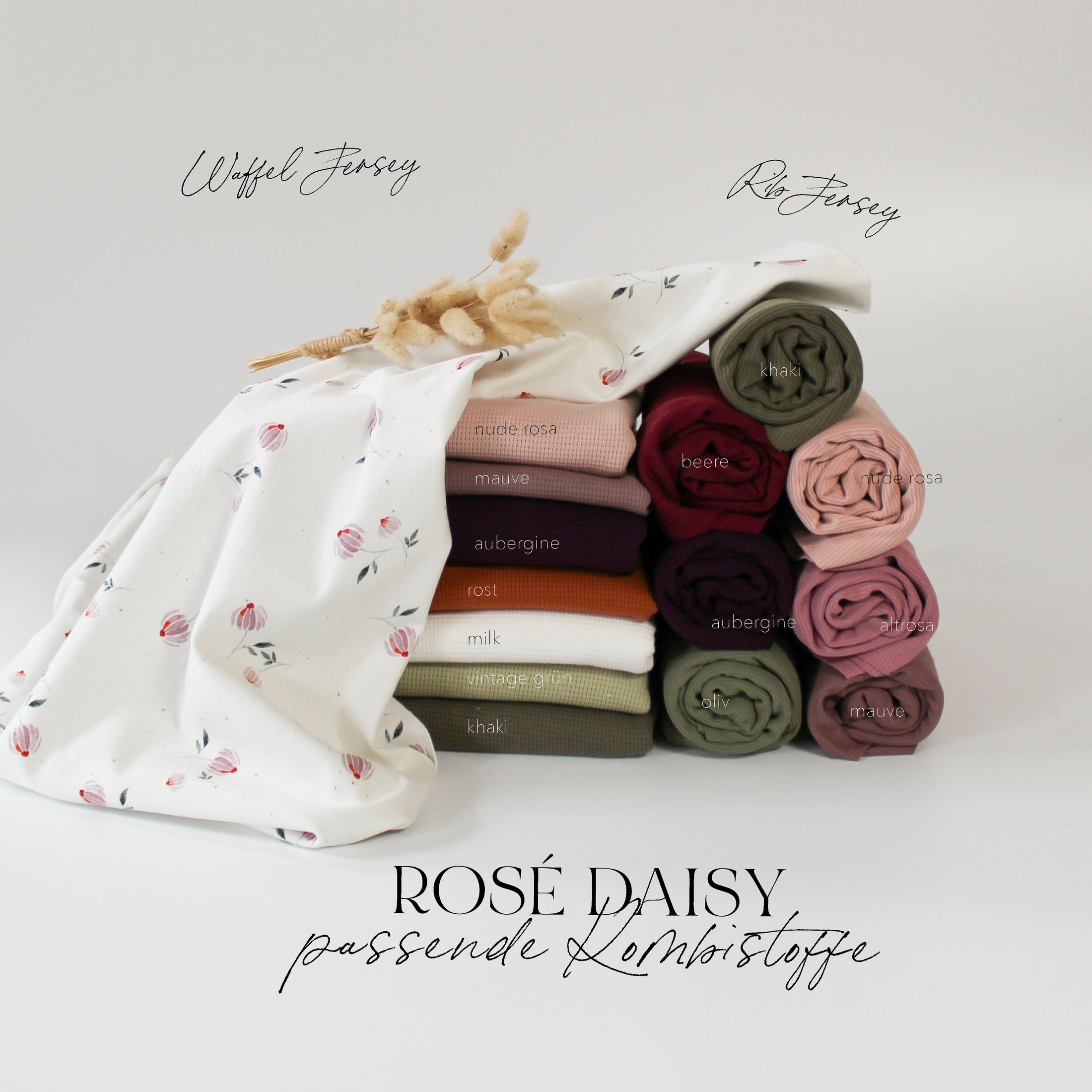 Jersey Rose Daisy